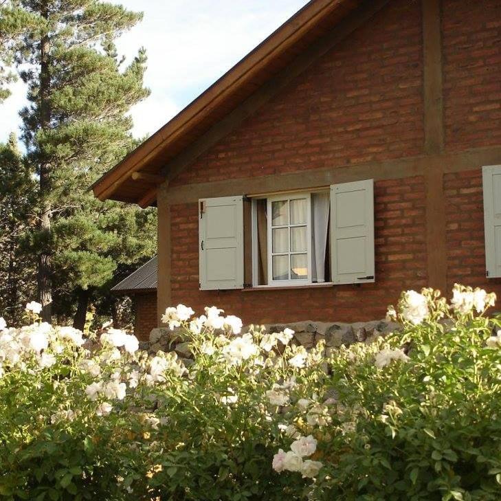 Cabanas Pyracantha Esquel Extérieur photo